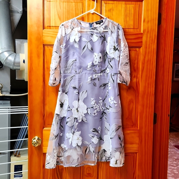 Sheer Dress - Picture 1 of 4